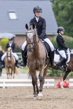 Bild 5 - Pony Akademie Turnier